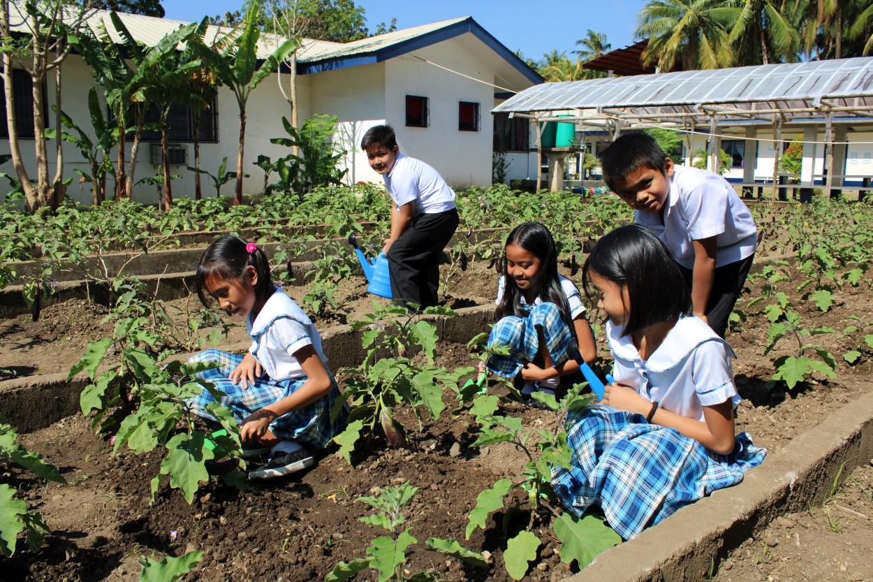 School garden at the San Roque Elementary School