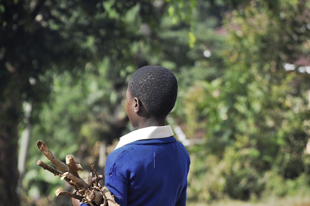 fire wood for the school kitchen
