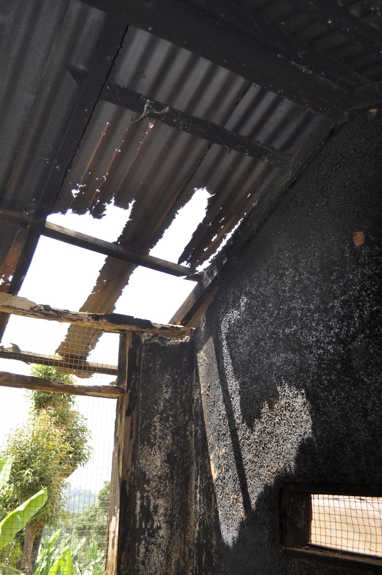Roofs ripe for repair