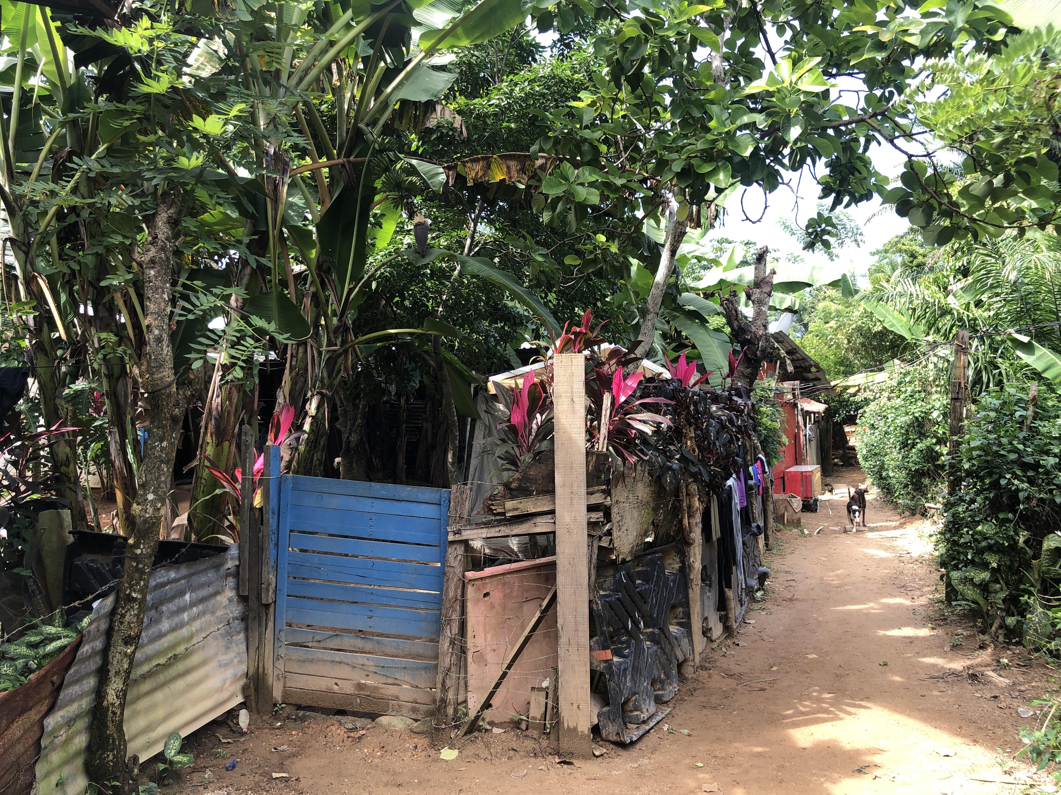 Ein historischer Moment: Die erste Klasse der CFF Escuela in Honduras macht ihren Abschluss!