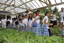 Schoolgarden of the Greenfinity Foundation